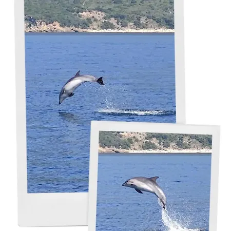 Yvonne's Bela Vista * Sesimbra