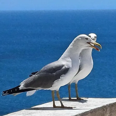 Apartment Yvonne's Bela Vista *