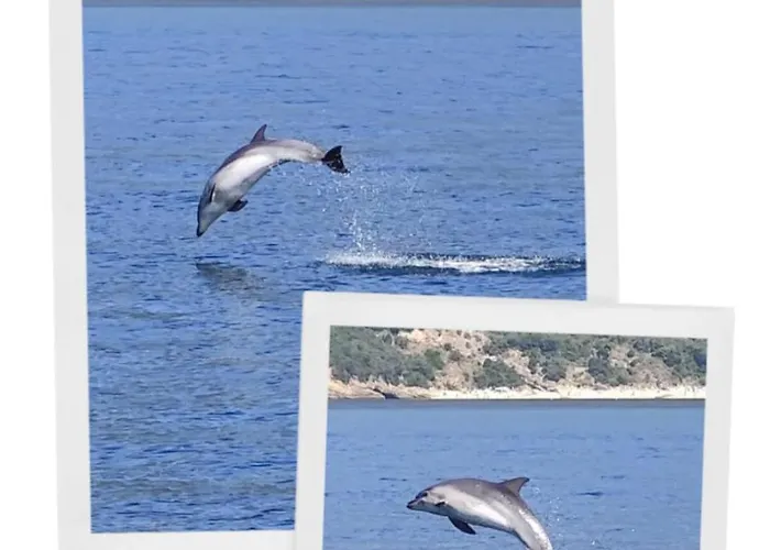 Yvonne's Bela Vista * Σεσίμπρα