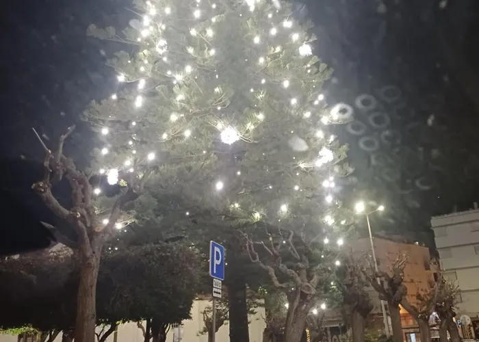 Yvonne's Bela Vista Διαμέρισμα